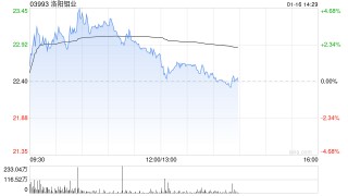 大摩：洛阳钼业盈喜符市场预期 目标价23.2港元