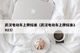 武汉电动车上牌标准（武汉电动车上牌标准2023）