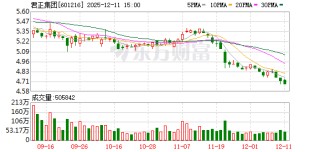君正集团：公司严格按照《企业会计准则》等有关规定编制财务报表