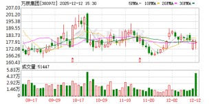 万辰集团12月12日大宗交易成交876.95万元