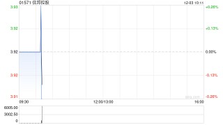 信邦控股授出合共1193.7万份购股权