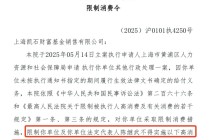 突发！凯石基金董事长陈继武被下达限制消费令！
