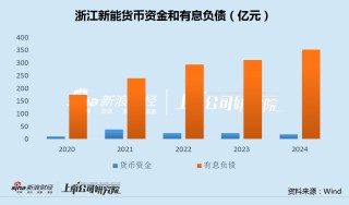 浙江新能斥资10亿连续收购3家0营收标的 现金不足19亿有息负债超350亿