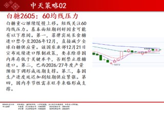 中天期货:白银再创新高 螺纹小幅回弹