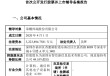 IPO大消息！荣耀启动上市，“影子股”曝光