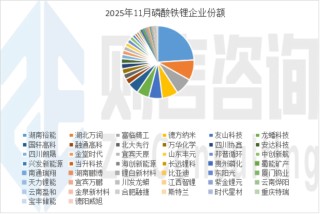 磷酸铁锂“半壁江山”集体挺价