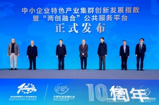 《中小企业特色产业集群创新发展指数暨“两创融合”公共服务平台（2025）》发布