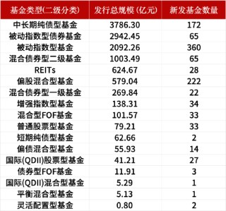 盘点2024新发基金：1082只新基金亮相市场！华夏基金发行数量暂居首位，易方达基金发行总规模领先