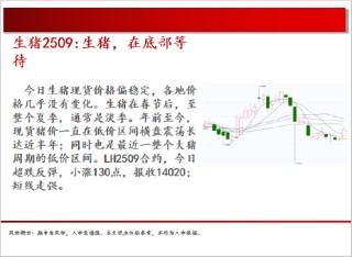 中天期货:白银继续震荡 棕榈大幅反弹
