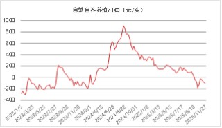 东海期货：2026年生猪投资策略报告