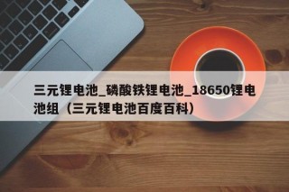 三元锂电池_磷酸铁锂电池_18650锂电池组（三元锂电池百度百科）
