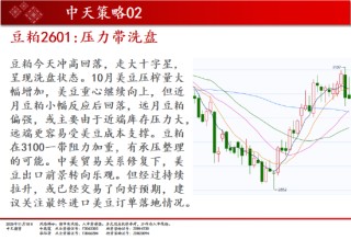 中天期货:白银继续下行 纯碱重回弱势震荡