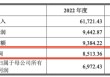 左手质押右手并购：阳光诺和实控人资本腾挪“暗雷”