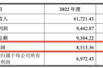 左手质押右手并购：阳光诺和实控人资本腾挪“暗雷”