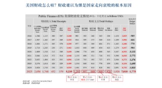 北大教授李玲谈美国财政困境：天量医疗支出拖垮政府，马斯克“政府效率部”改革必定失败