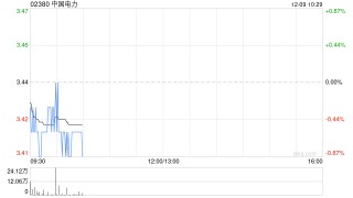 中国电力：完成资产重组建议