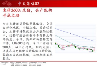 中天期货:商品指数继续调整 豆粕大幅下挫