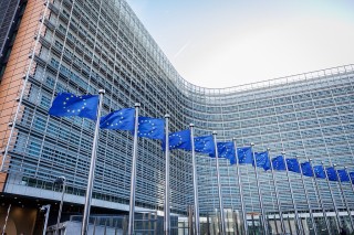 多方就“28点”新计划发表联合声明