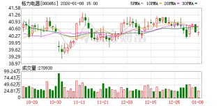 格力电器：公司稳步推进多元化战略