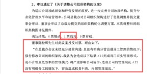 三雄极光董事会频现对立投票，创始团队裂痕加深，预计25年亏损3500万以上，内部博弈持续外显