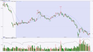 东海期货：2026年生猪投资策略报告