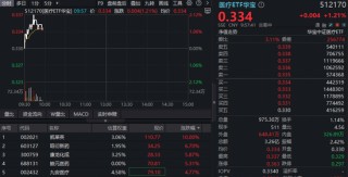 CXO强业绩提振，华宝基金港股通医疗ETF、医疗ETF携手上探2%！昭衍新药、凯莱英绩后狂飙逾10%
