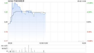 中国安储能源将于5月2日上午起复牌