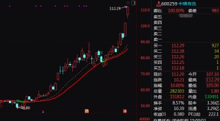 600259，尾盘直线涨停！有色板块，全线走强！