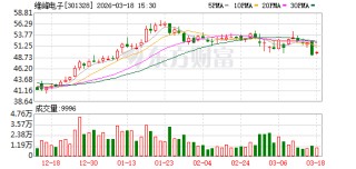 维峰电子：公司对维康汽车进行增资，主要基于公司整体发展战略与业务布局需要