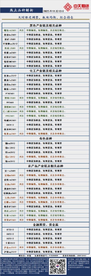 中天策略:11月13日市场分析