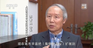 高市之“祸”：撕裂中日关系的“天崩开局”