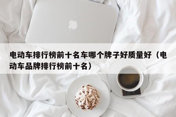 电动车排行榜前十名车哪个牌子好质量好（电动车品牌排行榜前十名）  第1张