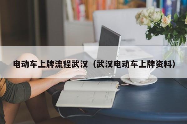 电动车上牌流程武汉（武汉电动车上牌资料）  第1张