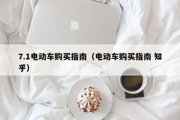 7.1电动车购买指南（电动车购买指南 知乎）  第1张
