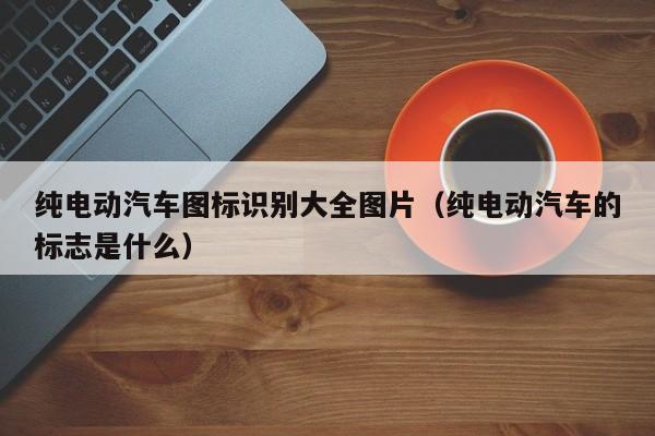 纯电动汽车图标识别大全图片（纯电动汽车的标志是什么）  第1张