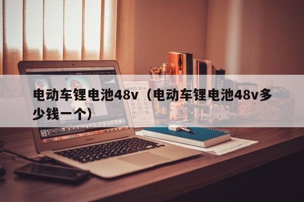 电动车锂电池48v（电动车锂电池48v多少钱一个）  第1张