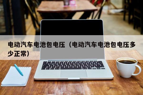 电动汽车电池包电压（电动汽车电池包电压多少正常）  第1张