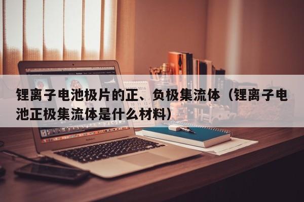 锂离子电池极片的正、负极集流体（锂离子电池正极集流体是什么材料）  第1张