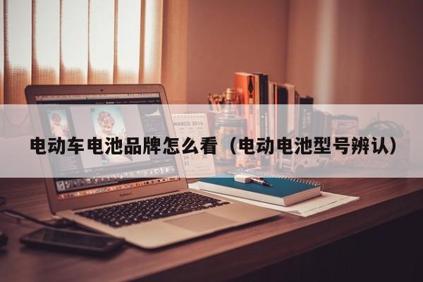 电动车电池品牌怎么看（电动电池型号辨认）  第1张