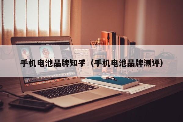 手机电池品牌知乎（手机电池品牌测评）  第1张