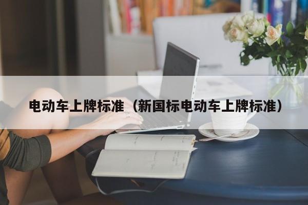 电动车上牌标准（新国标电动车上牌标准）  第1张
