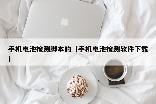 手机电池检测脚本的（手机电池检测软件下载）  第1张