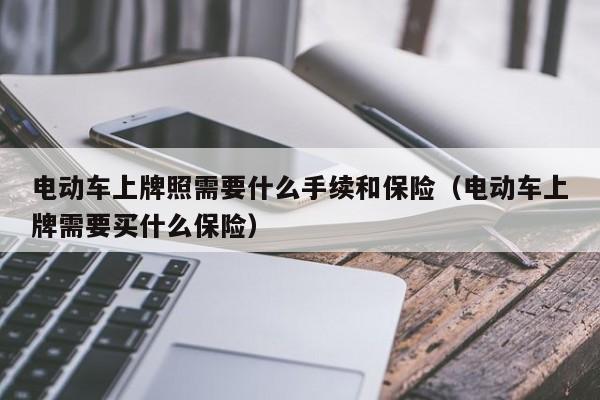 电动车上牌照需要什么手续和保险（电动车上牌需要买什么保险）  第1张
