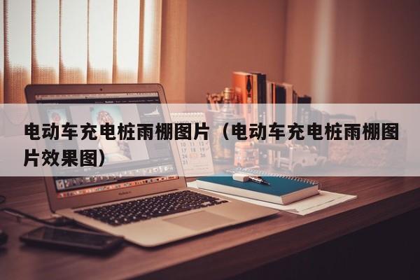 电动车充电桩雨棚图片（电动车充电桩雨棚图片效果图）  第1张
