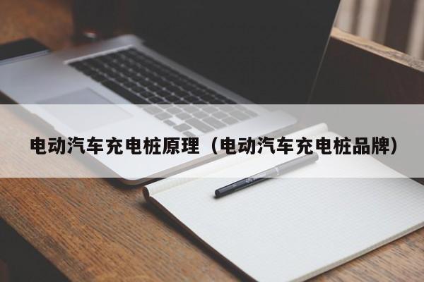 电动汽车充电桩原理（电动汽车充电桩品牌）  第1张