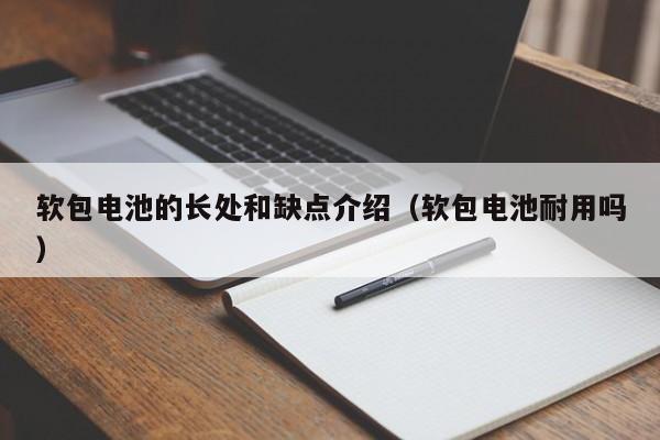 软包电池的长处和缺点介绍（软包电池耐用吗）  第1张