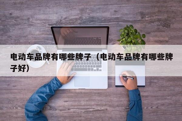 电动车品牌有哪些牌子（电动车品牌有哪些牌子好）  第1张