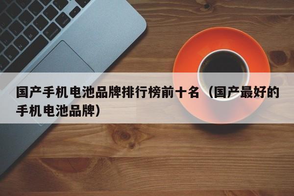 国产手机电池品牌排行榜前十名（国产最好的手机电池品牌）  第1张