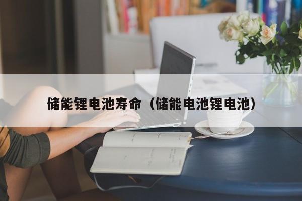 储能锂电池寿命（储能电池锂电池）  第1张