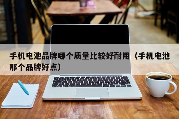 手机电池品牌哪个质量比较好耐用（手机电池那个品牌好点）  第1张